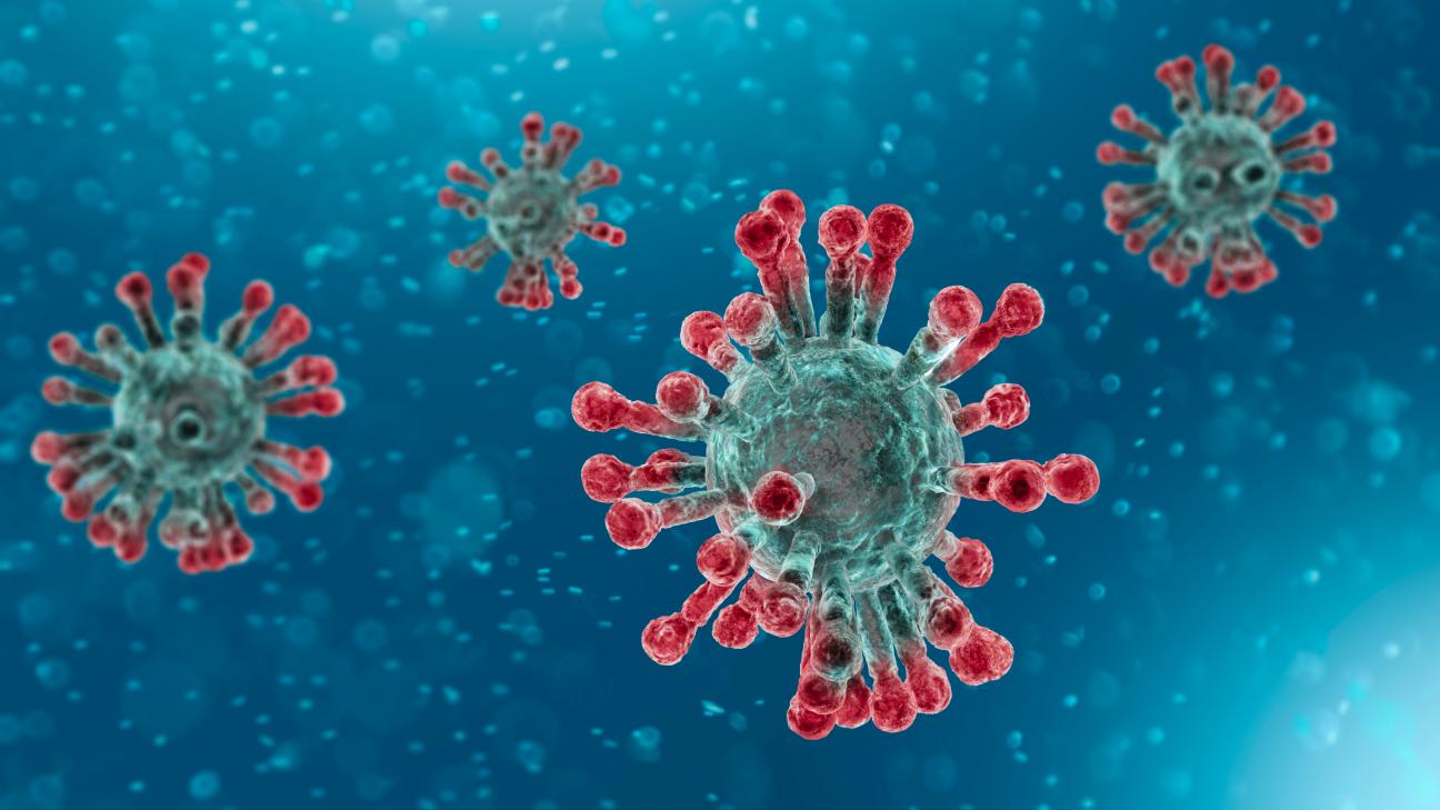 Pandemic Macro: Stimulus vs. Insurance