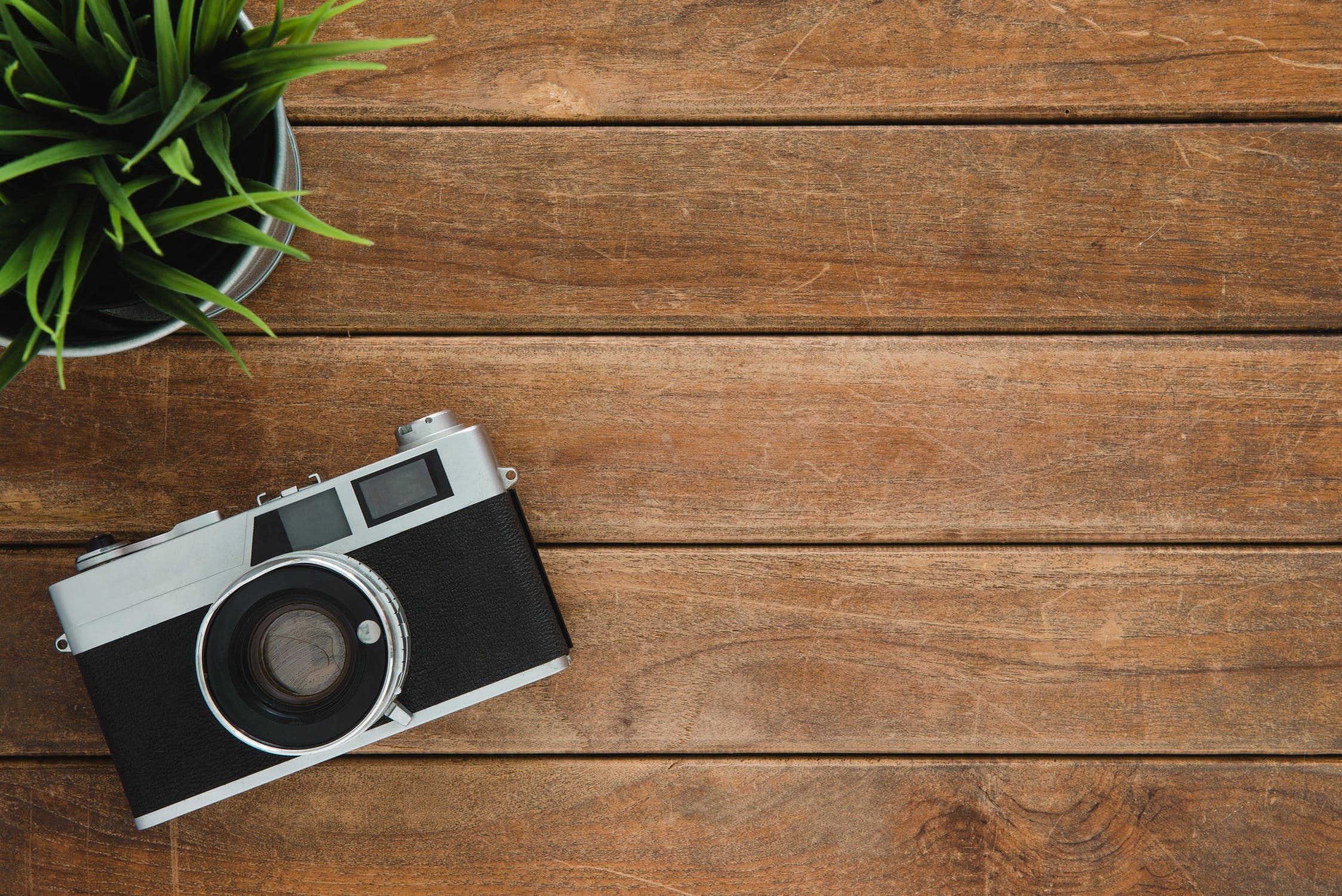 7 Best Photo Organizing Software Programs