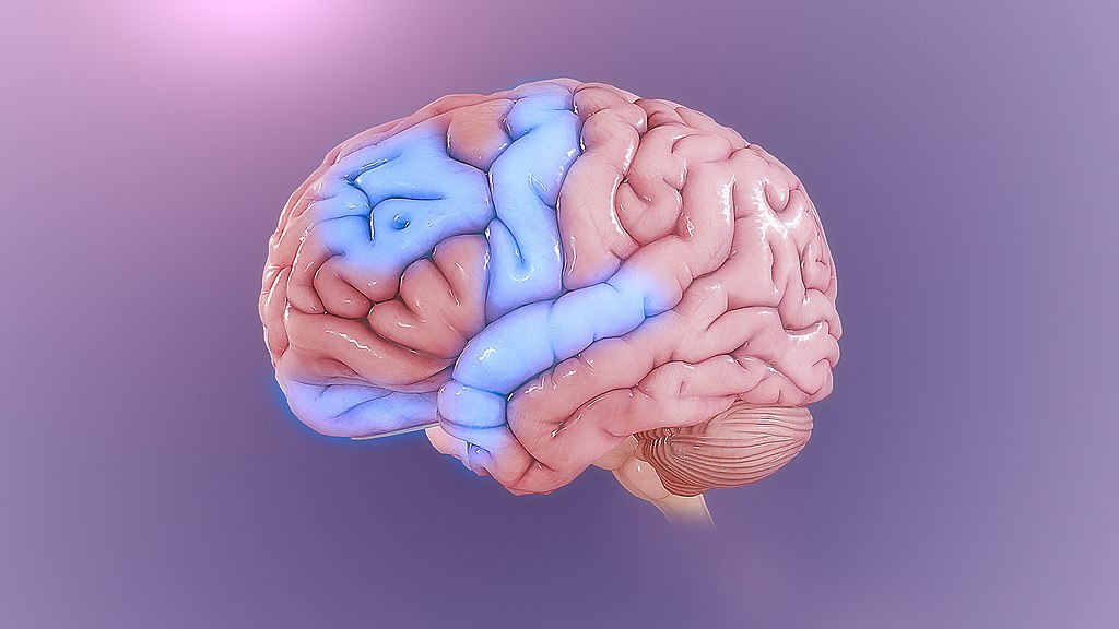 Neuroscience: Psychiatry at Amyloid Beta’s Era of Alzheimer’s Research