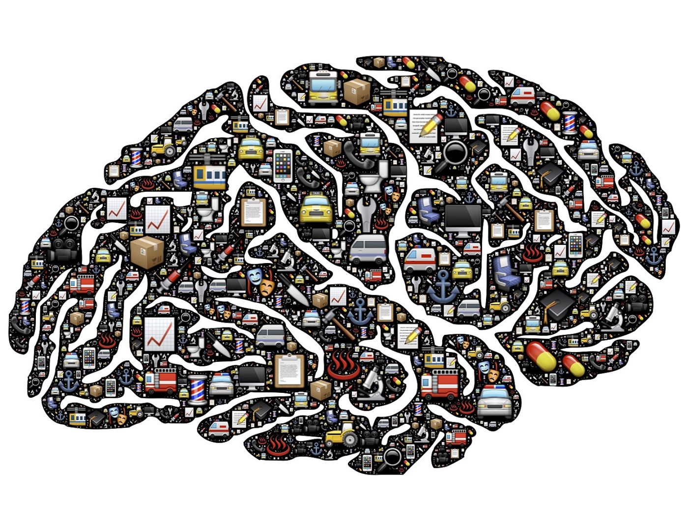 Computational Neuroscience, Brain & Sensory-Thought Integration Model