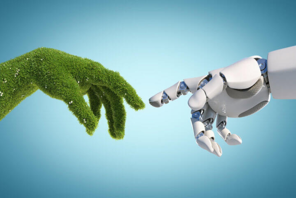 The Importance of Green Artificial Intelligence