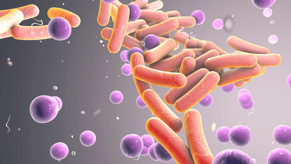 The Importance of Legionella Risk Assessment: Protecting Your Health and Safety