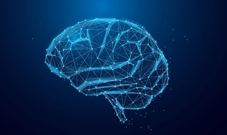 The Neuroscience of Brain Implants