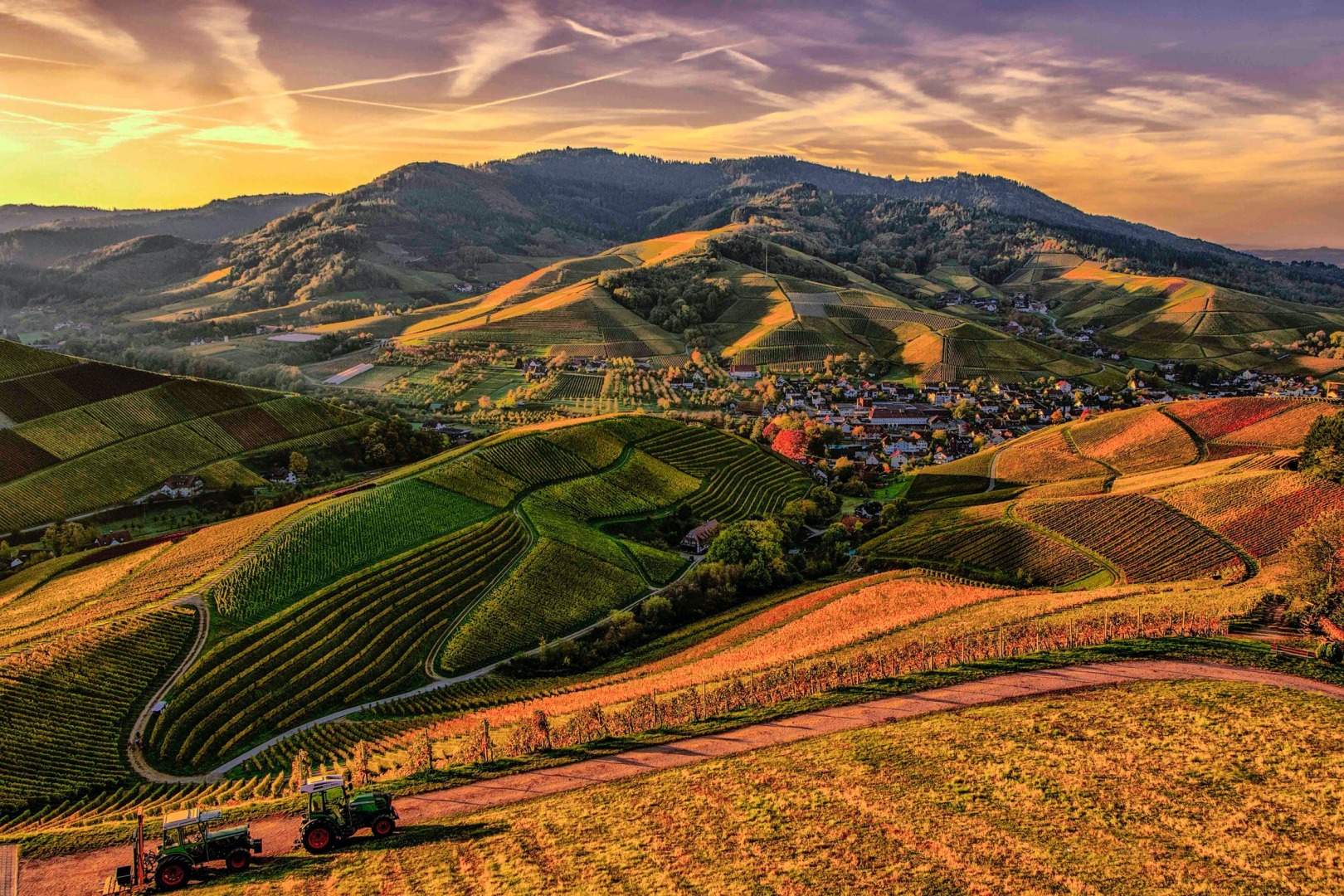 The Slowdown in Agricultural Productivity Growth