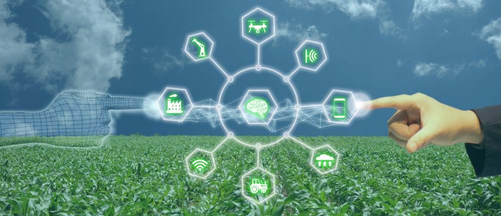 Use Cases of the Internet of Things in the Sustainability Sector