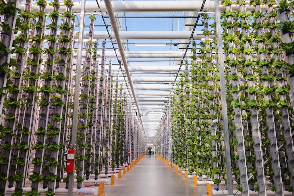 Can AI-Driven Vertical Farming Help Crops Flourish?