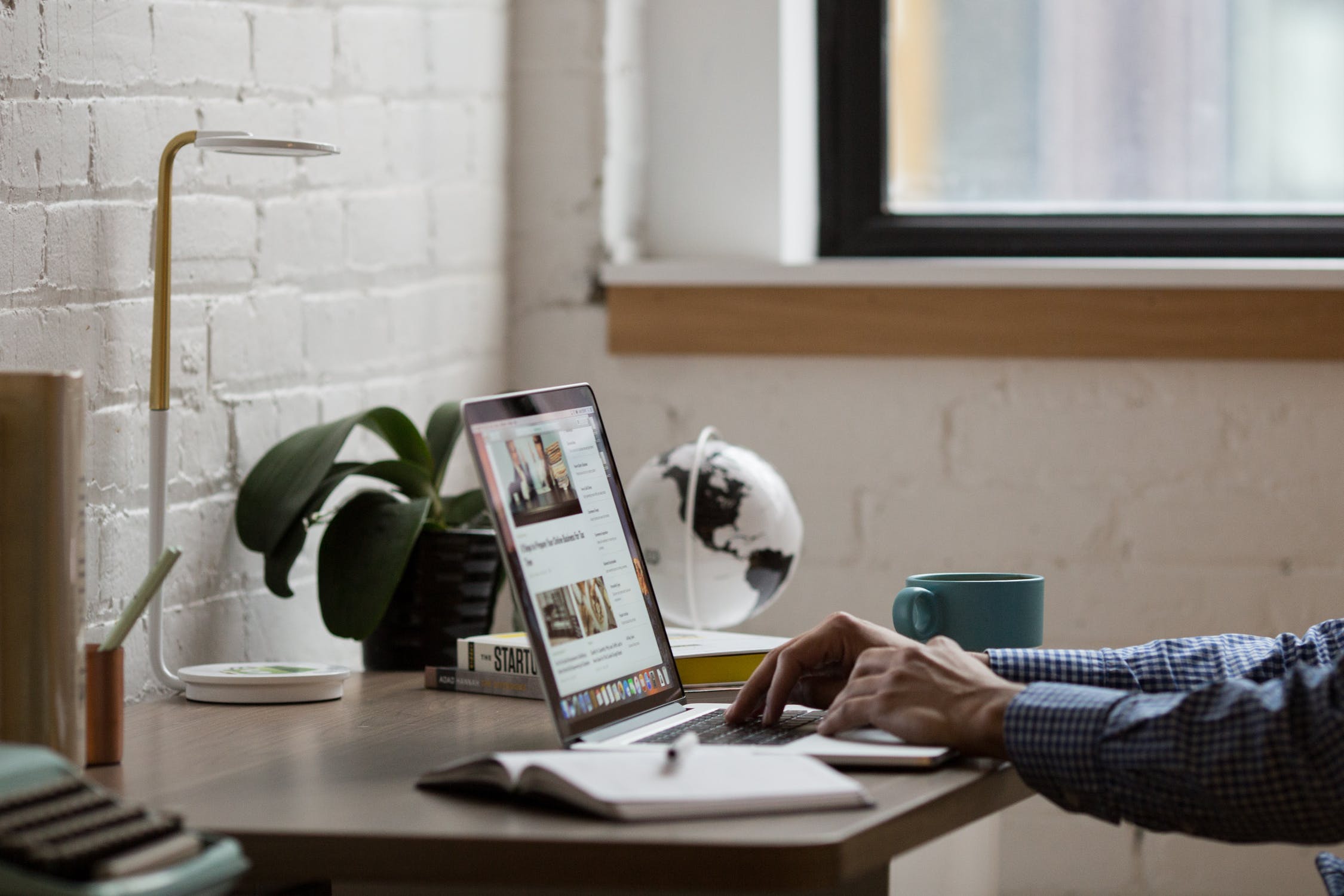 Newbie’s Guide: Web Designer vs Web Developer