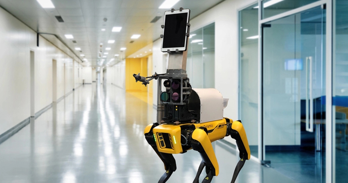 What Are The Applications of Artificial Intelligence in Veterinary Medicine?