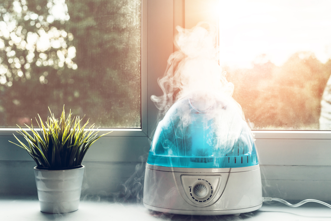 What Are The Health Benefits of Using a Large Room Humidifier in Your Home?