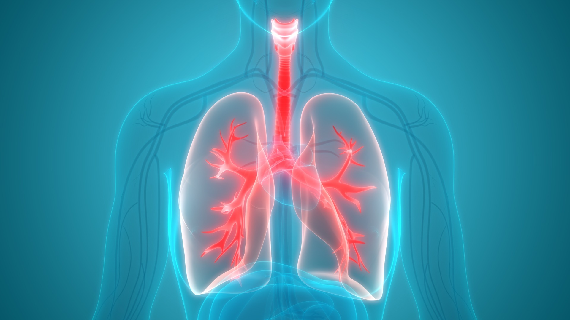 What is the Average Pulmonary Function Test Cost?