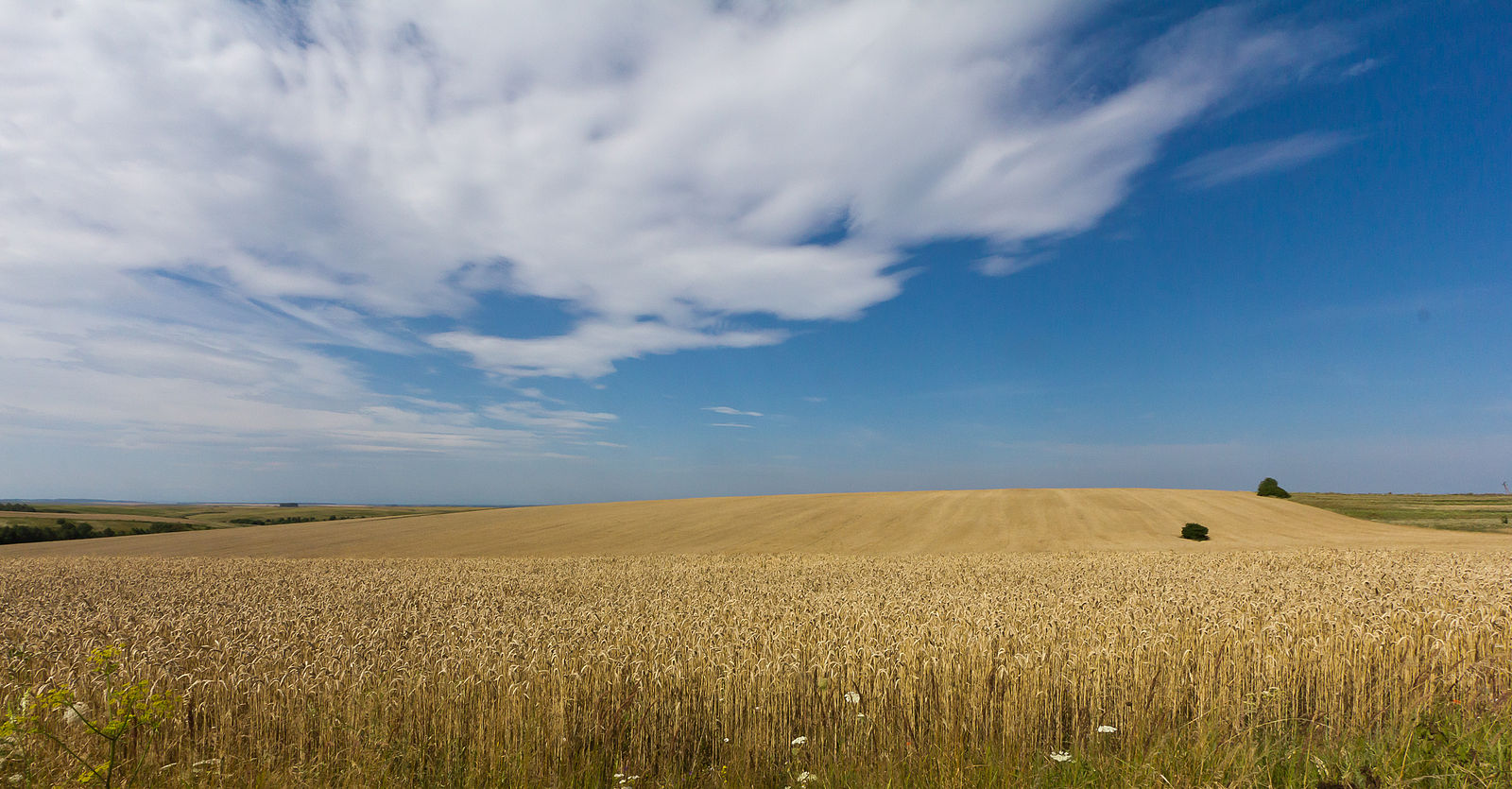 Solving the Global Food Crisis | Climate Change | Hunger | Water Security