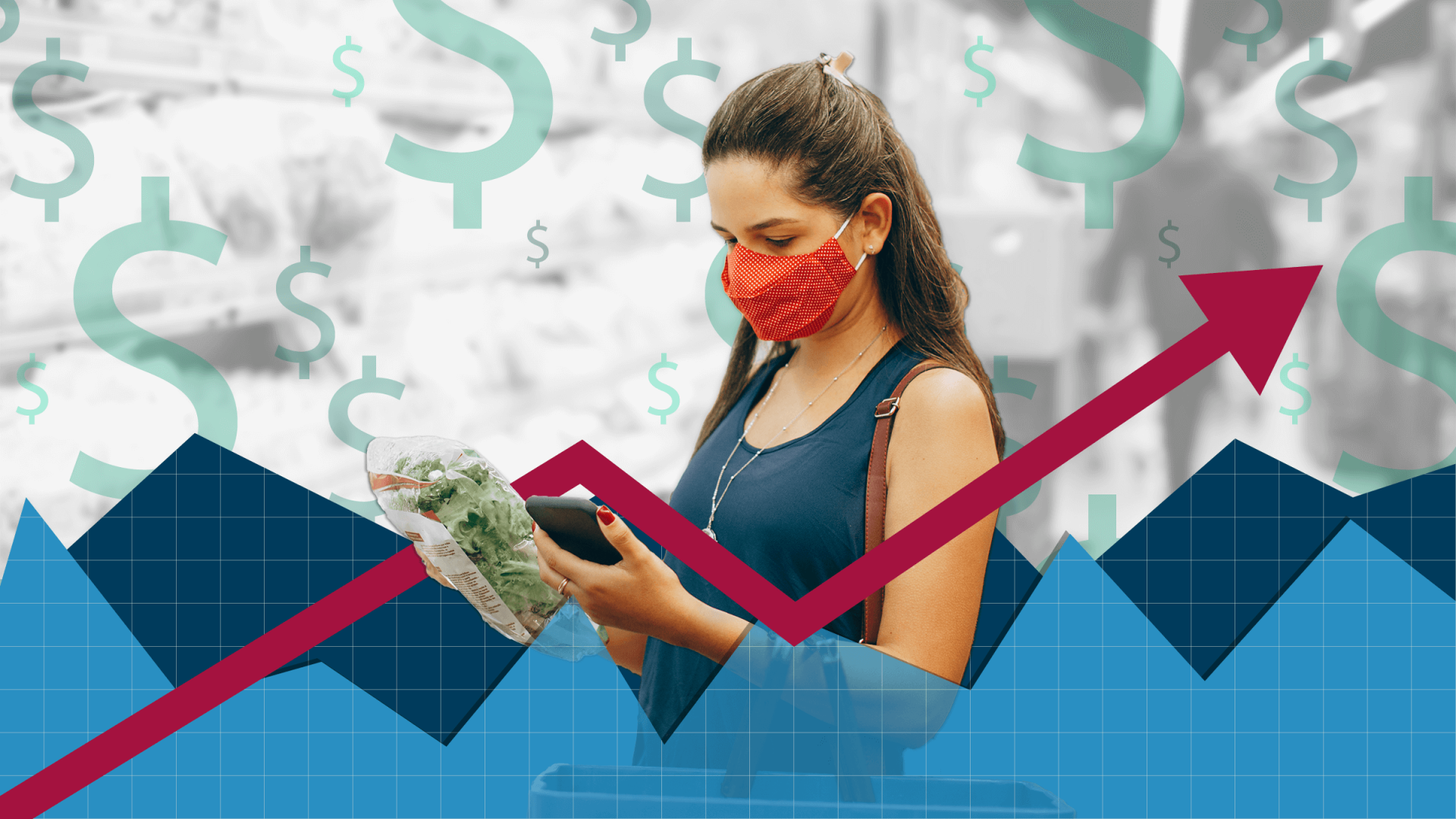 Why Government Anti-Inflation Plans Fail