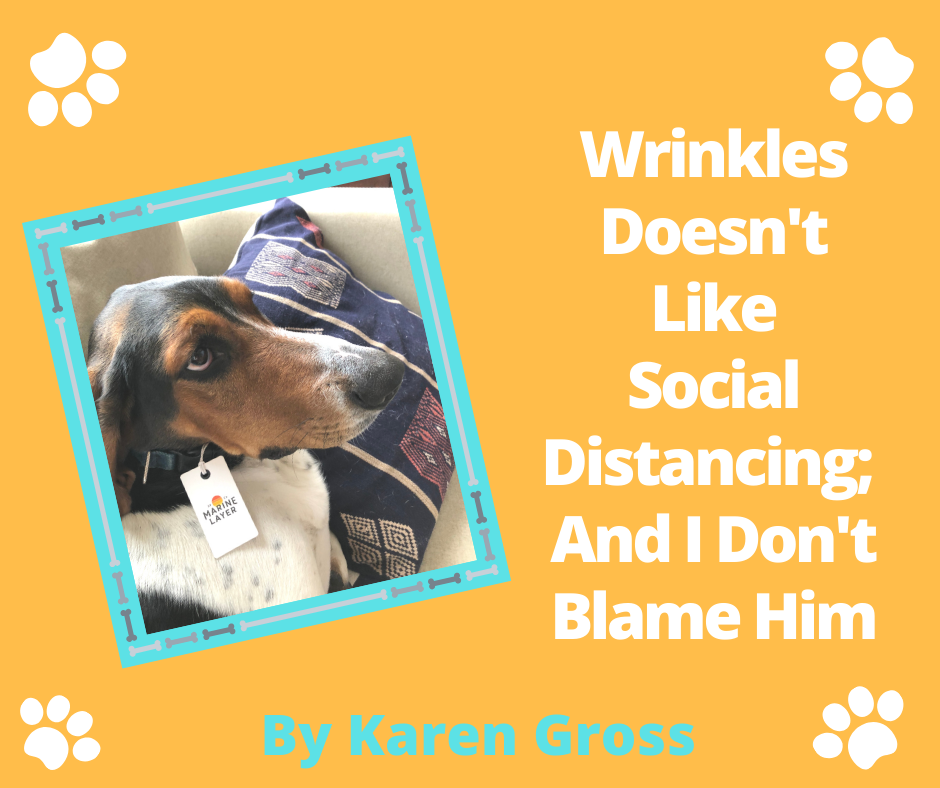 Wrinkles Karens Dog