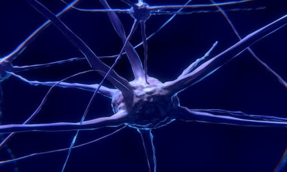 Could Neuroplasticity be a Defect or Disorder?