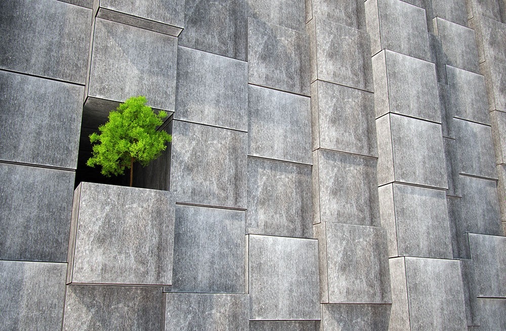Designing with Concrete Walls for Aesthetic Appeal — The Complete Guide