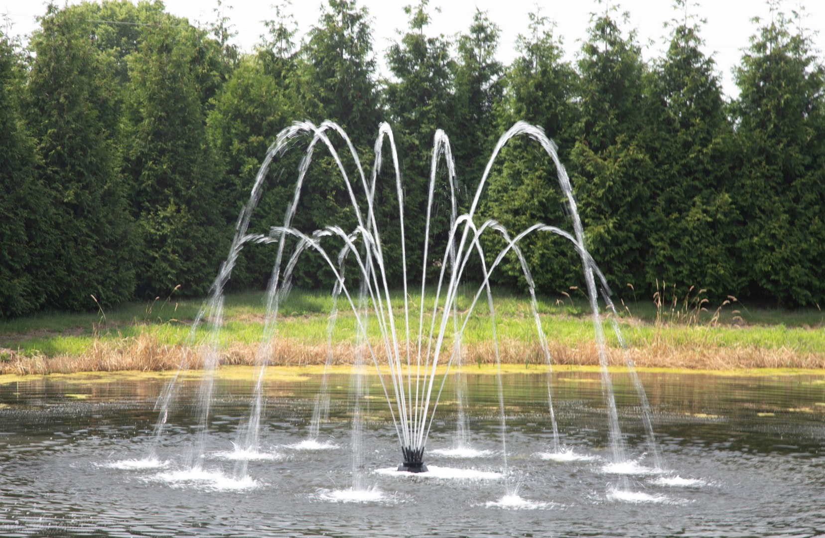 How to Choose Pond Fountains for Sale: A Buyer’s Guide