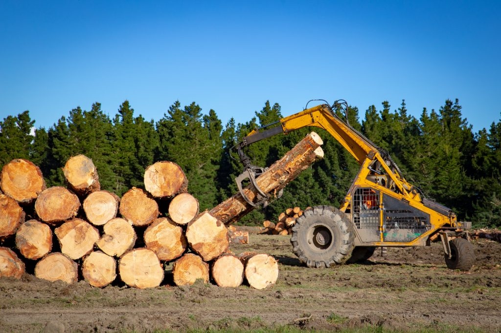 Invest in Efficiency: Smart Financing Choices for Your Logging Business