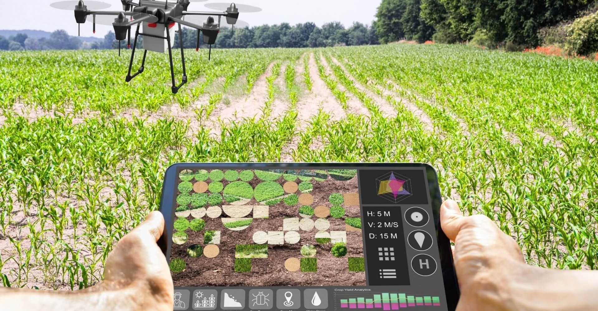 Is The Internet of Things Making Way For Smart Agriculture?