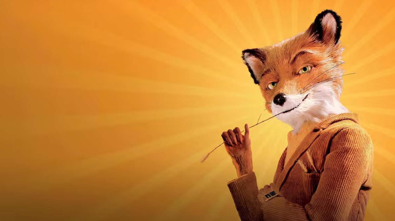 The Most Popular Movies to Fall Asleep to – Fantastic Mr. Fox Crowned Top 