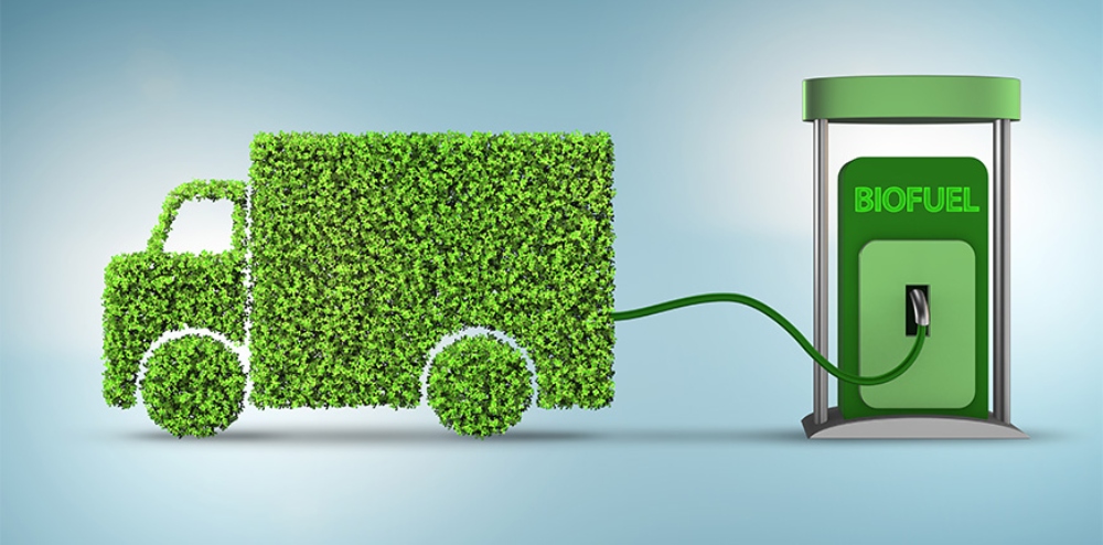 Advancements in Sustainable Biofuels: A Greener Future for Energy