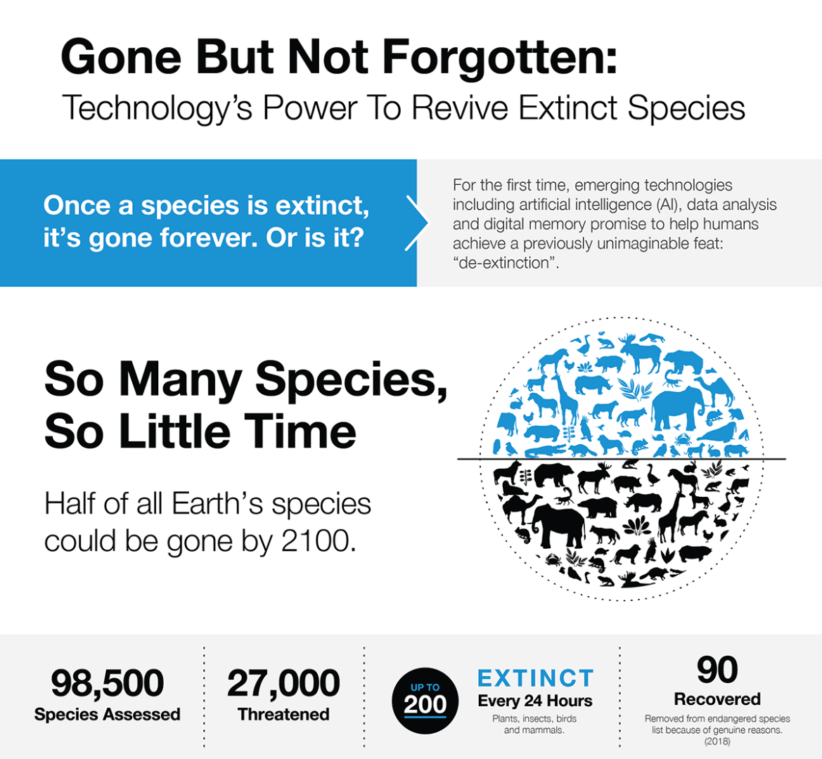 evolution_infographic_2.png