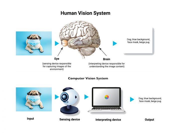 human-and-artificial-sensing-686x533-1.jpg