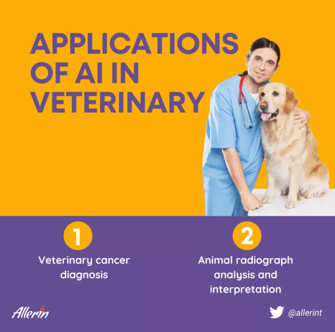 AI_in_Veterinary_Medicine.png