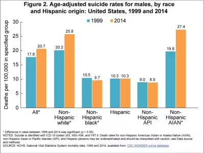 Age_Adjusted_Suicide_Rates.jpg