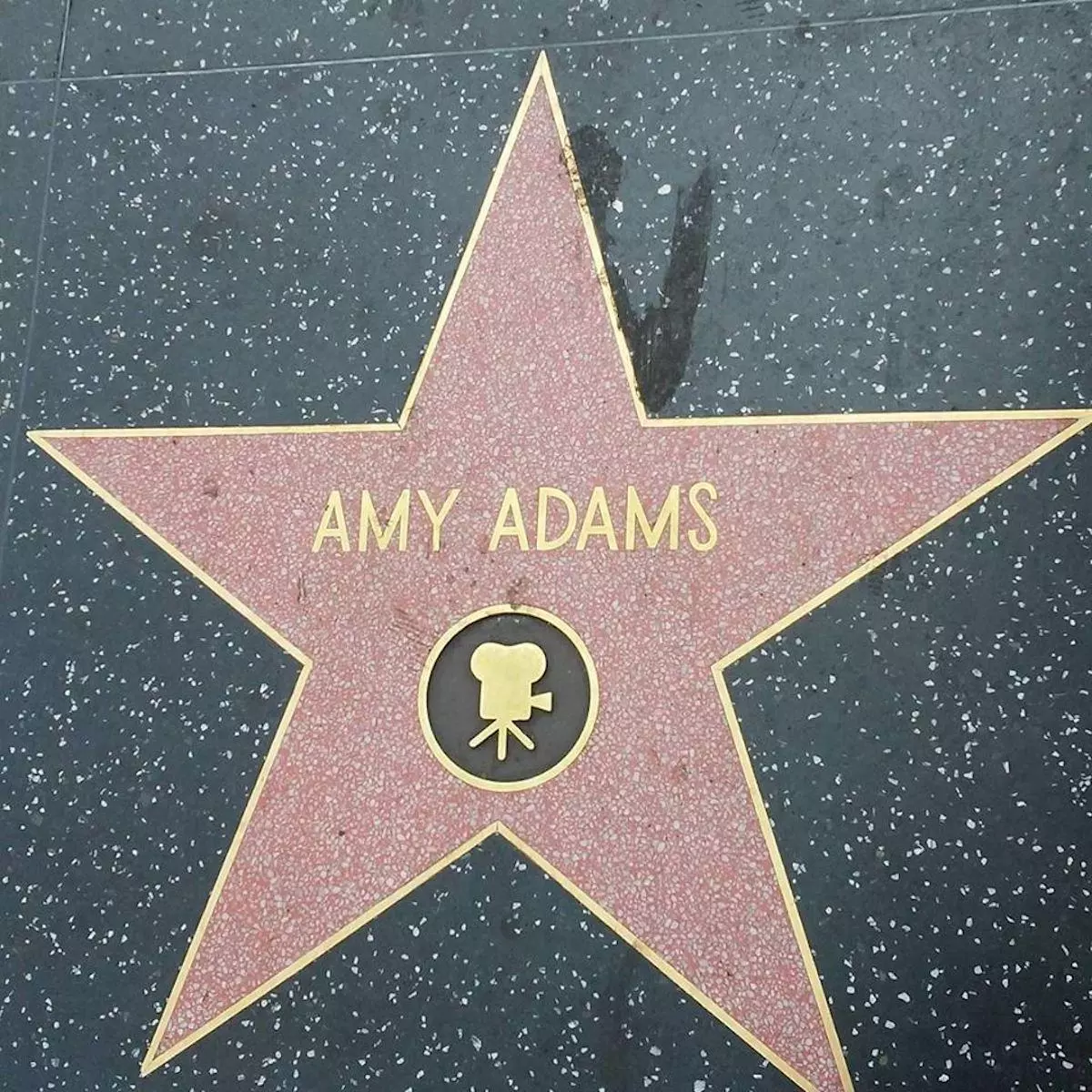 AmyAdams-Star.jpg