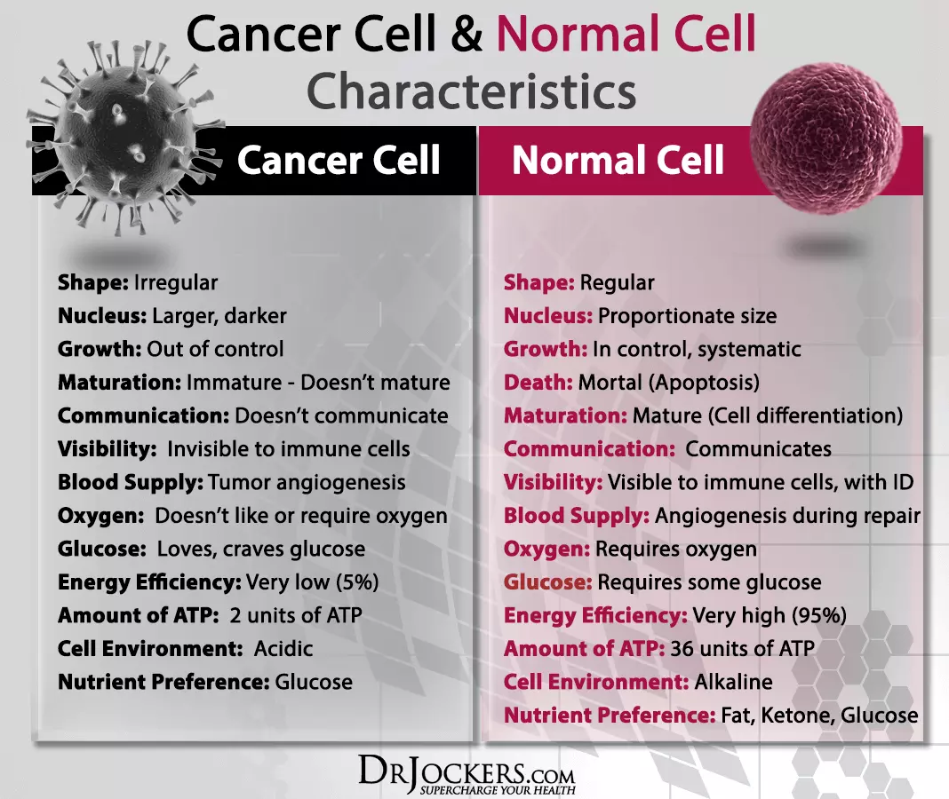 CANCERCELLS_Normal-and-Cancer-Cell-Characteristics19.png