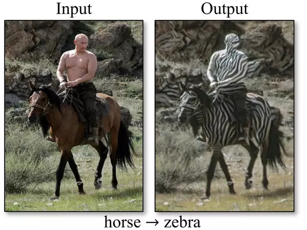 Horse_Zebra.jpeg