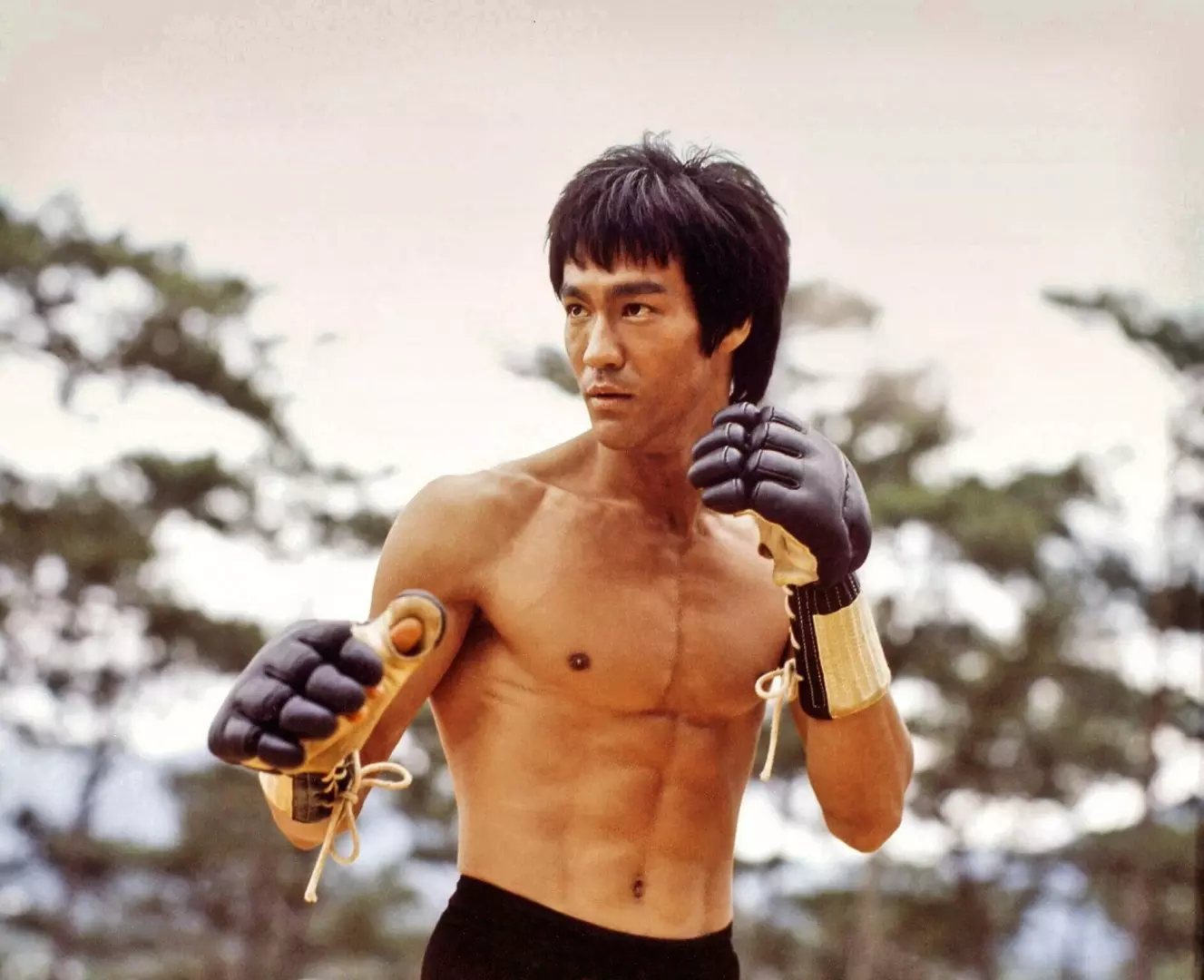 Lessons_From_Bruce_Lee_for_Agile_Practitioners.jpeg