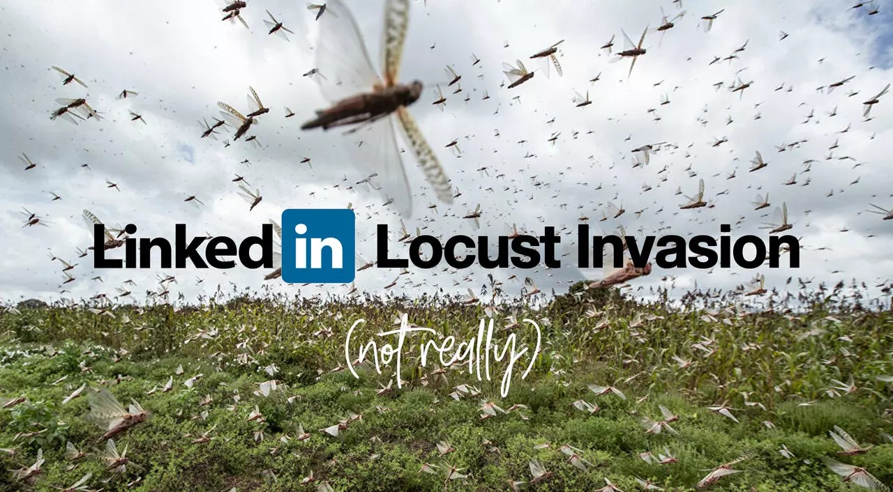 LinkedIn_Locust_Invasion.jpeg