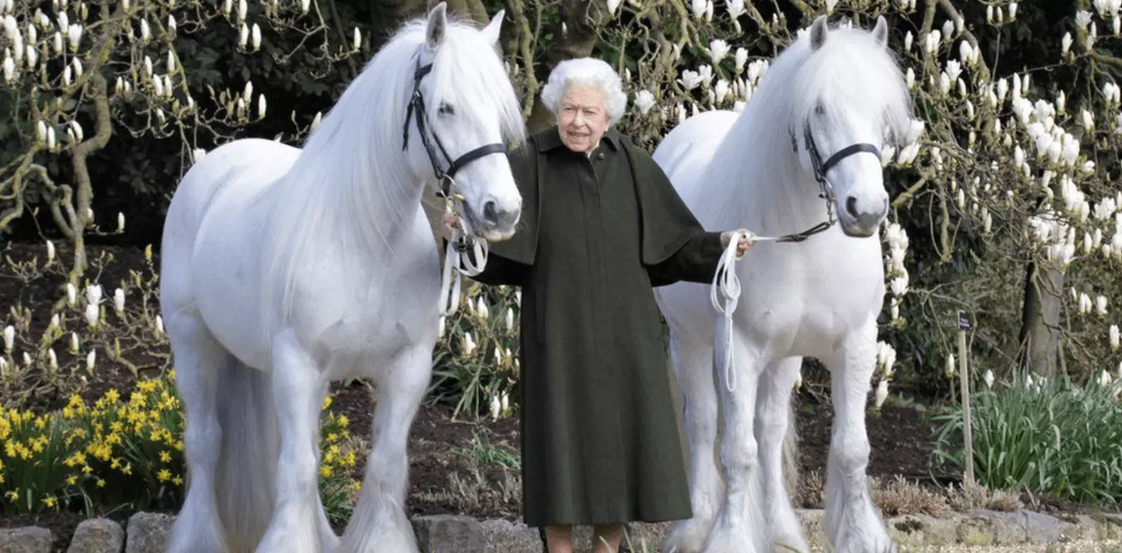Queen_with_horses.png