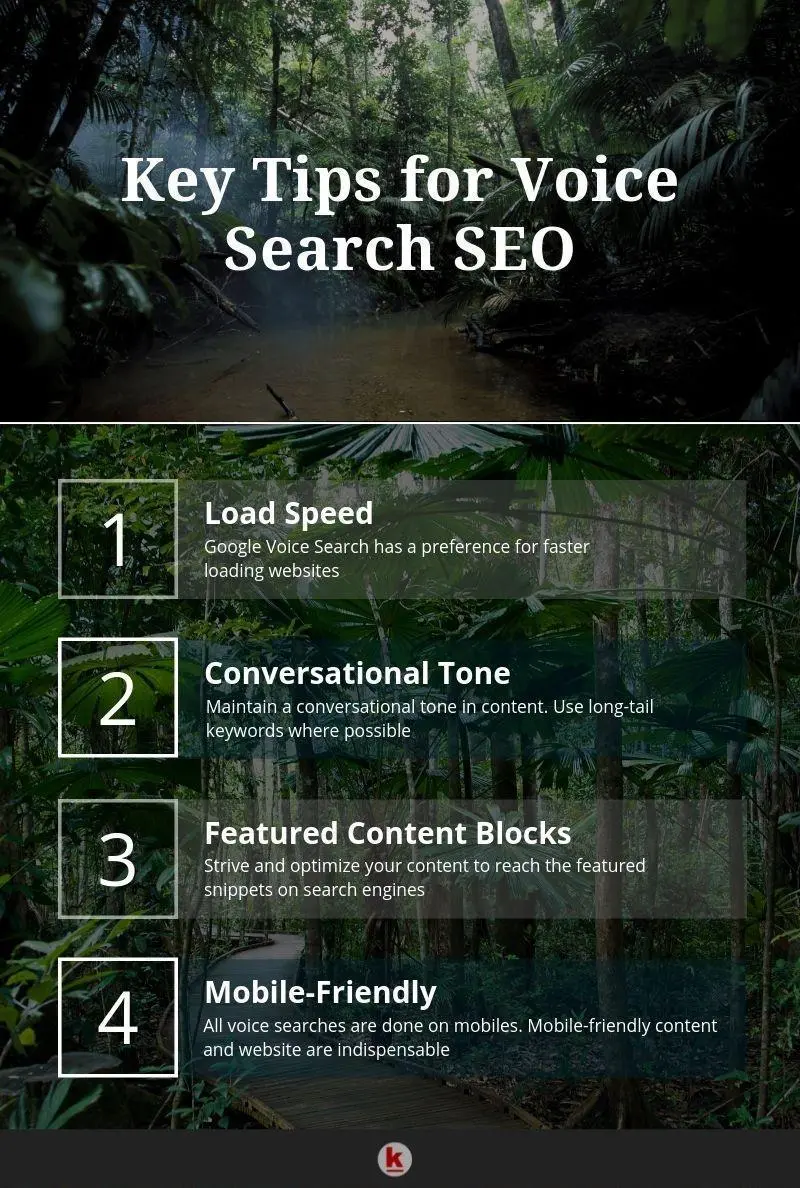 Key_Tips_for_Voice_Search_SEO-01
