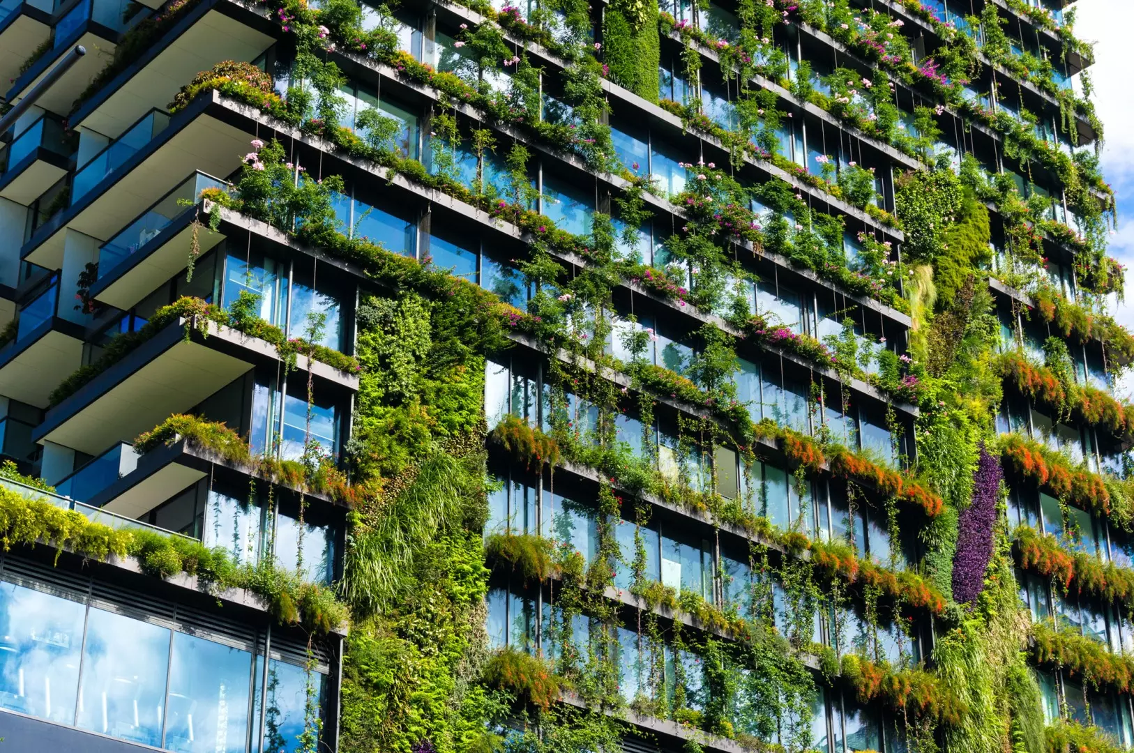 Top 5 Easy to Implement Green Initiatives for Businesses